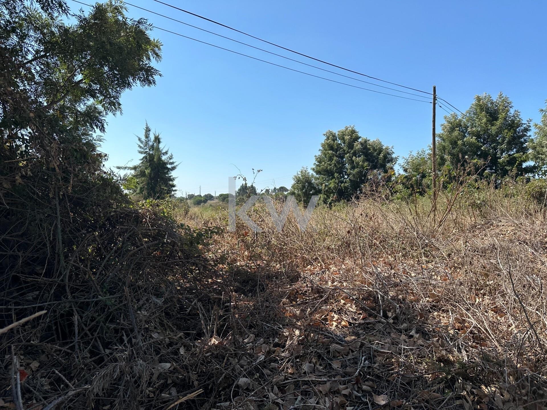 Terreno à Venda em Setúbal - Portugal - 4
