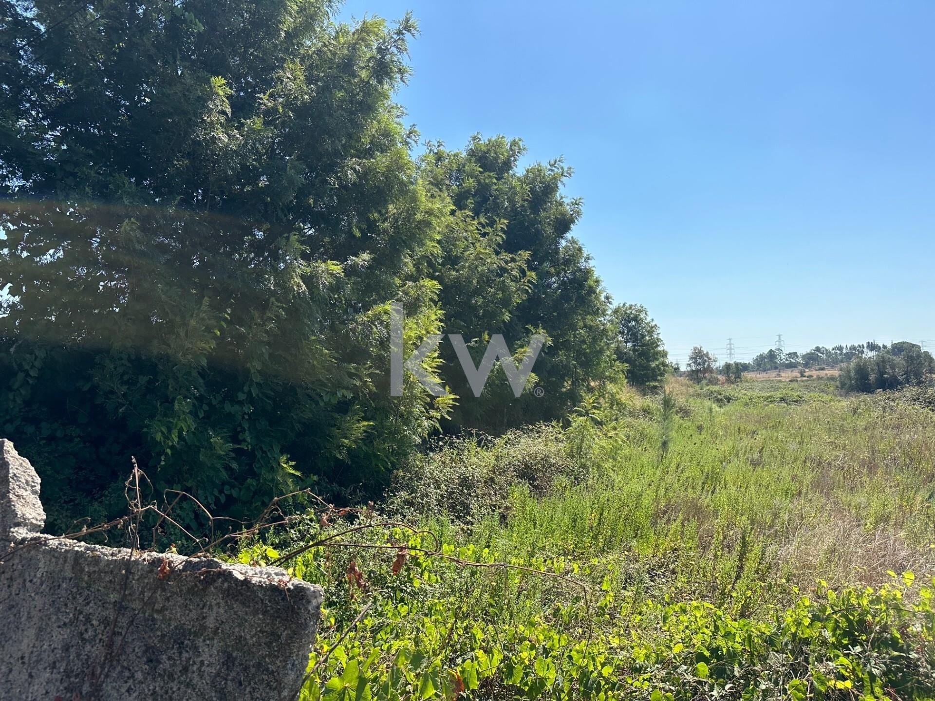 Terreno à Venda em Setúbal - Portugal - 5