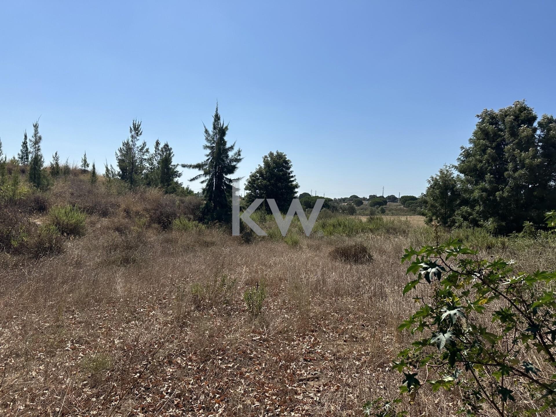 Terreno à Venda em Setúbal - Portugal - 6
