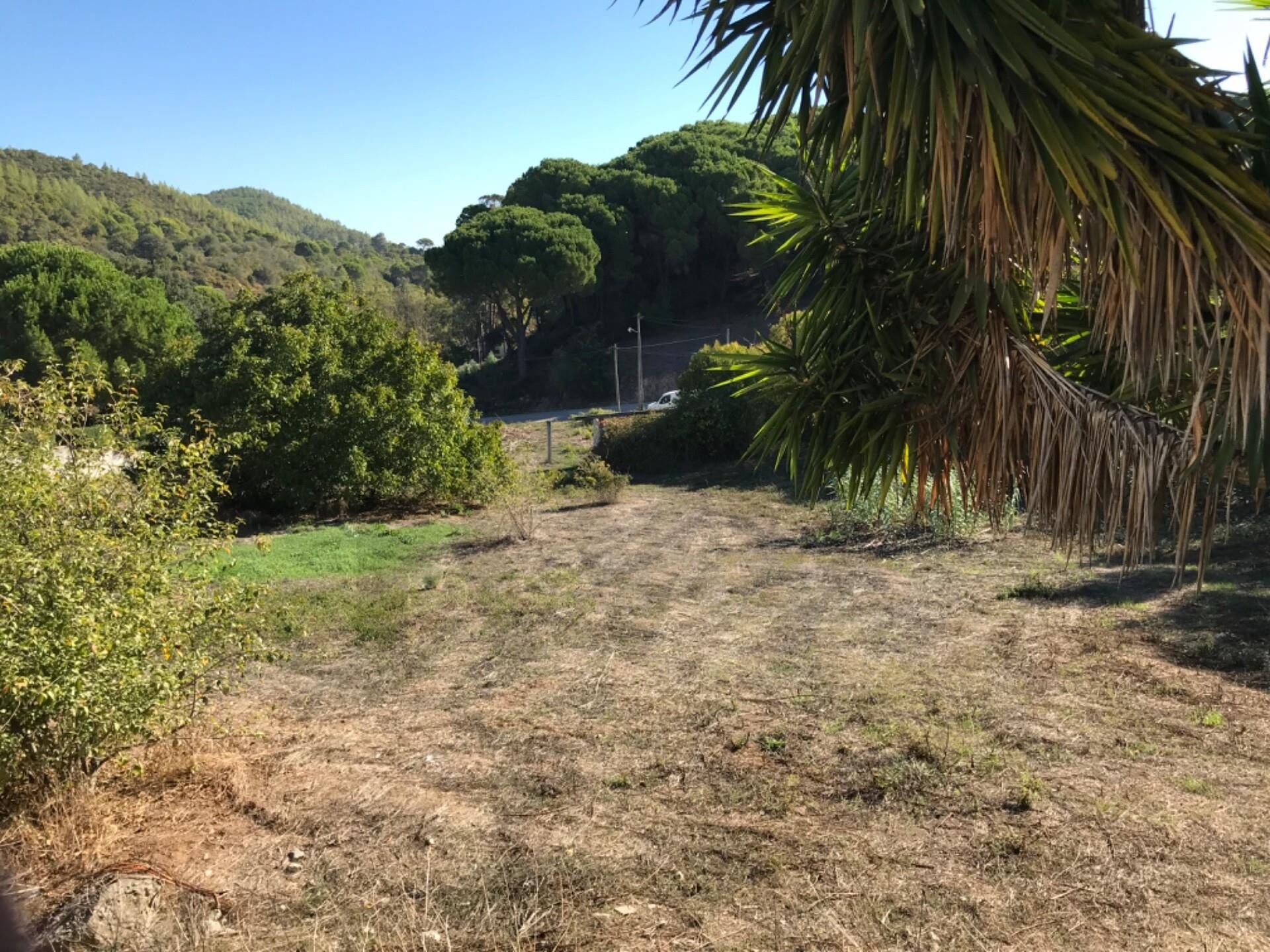 Terreno à Venda em Setúbal - Portugal - 4