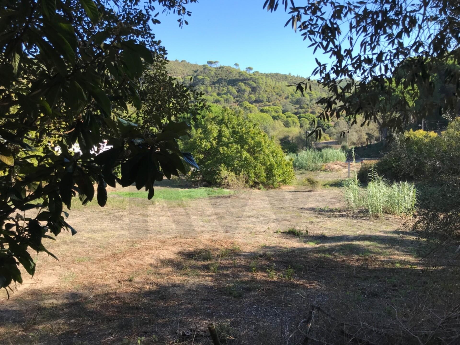 Terreno à Venda em Setúbal - Portugal - 5