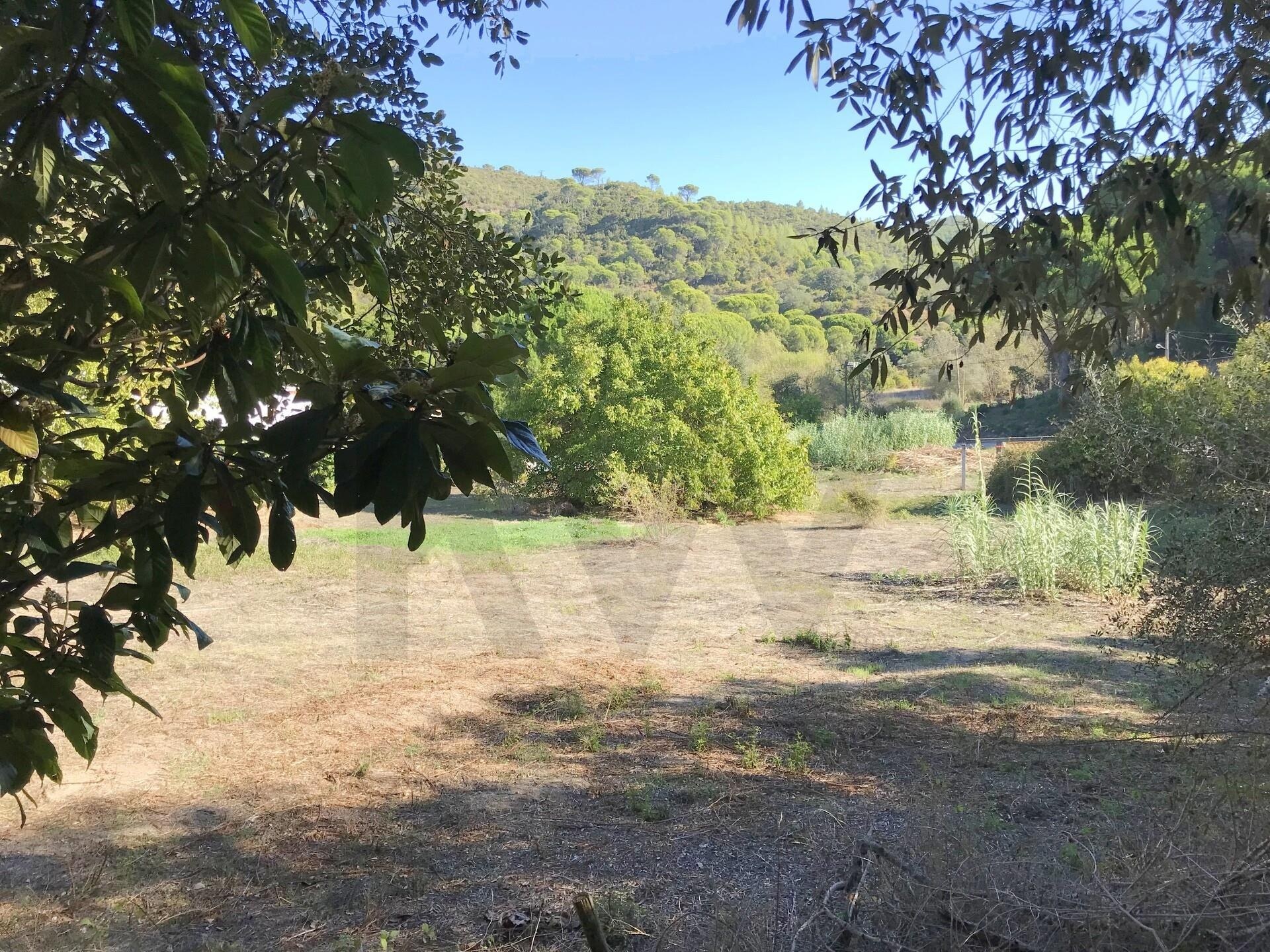 Terreno à Venda em Setúbal - Portugal - 6