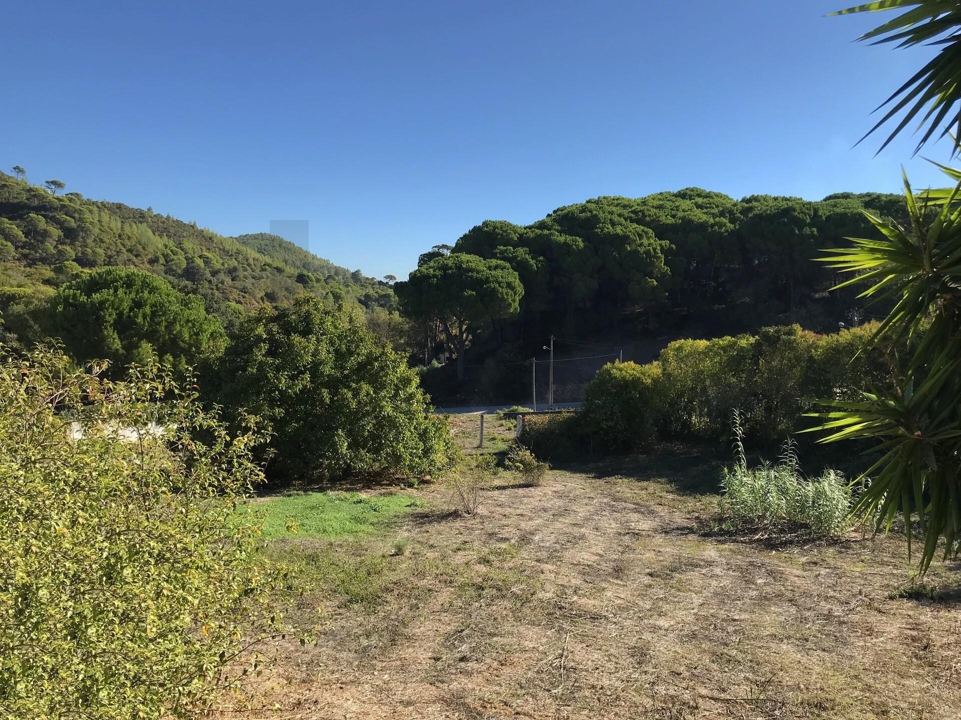 Terreno à Venda em Setúbal - Portugal - 8
