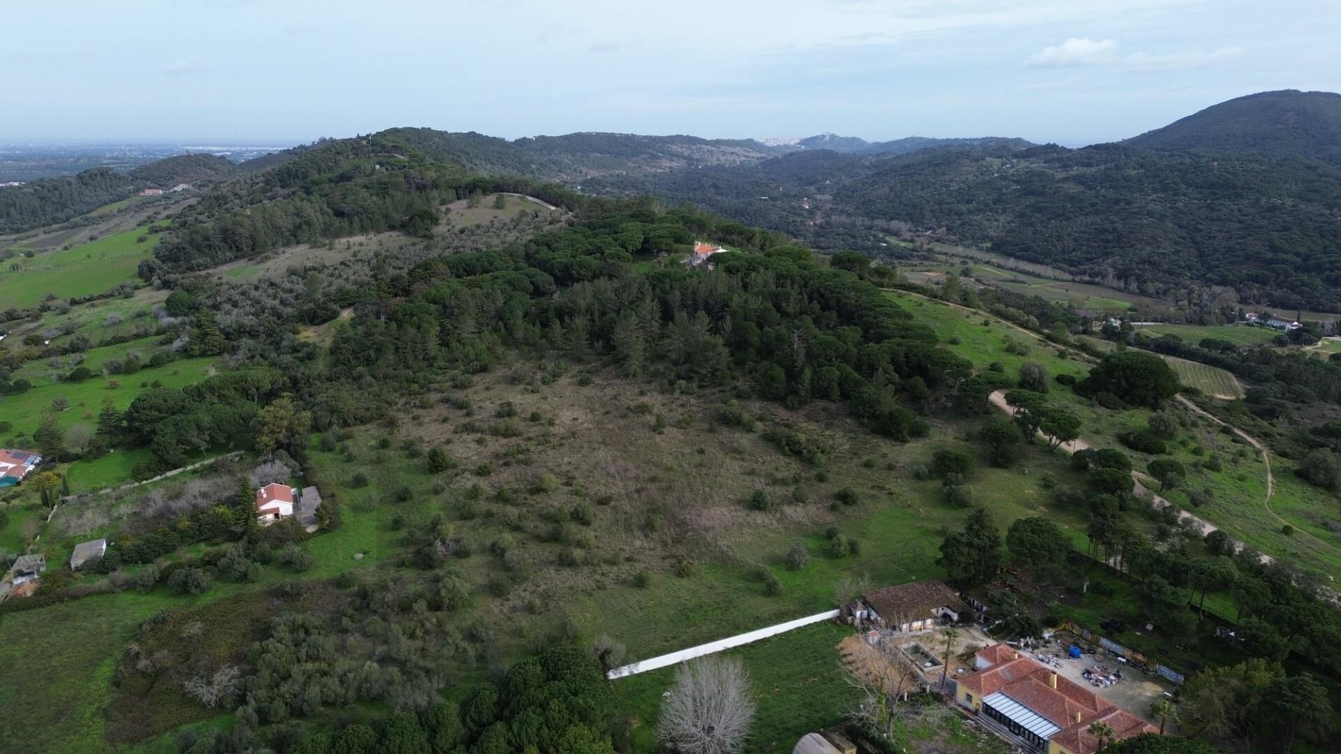 Terreno à Venda em Setúbal - Portugal - 5