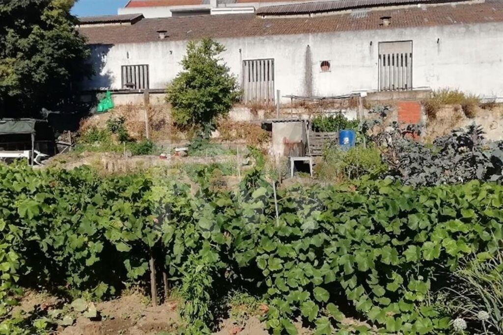 Terreno à Venda em Setúbal - Portugal - 7