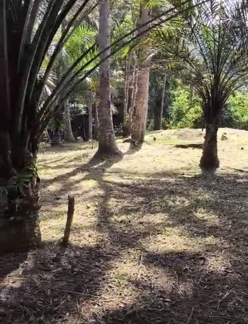 Terreno à Venda em Uruçuca - Bahia - Brasil - 2