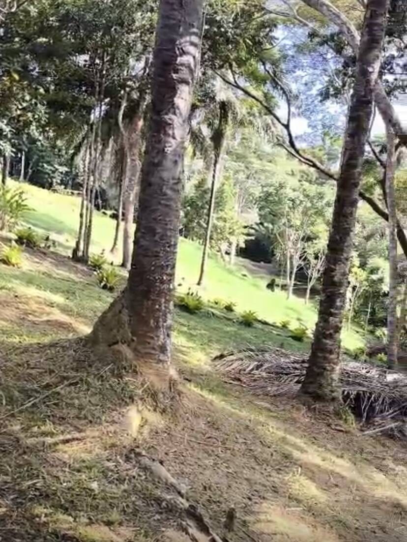 Terreno à Venda em Uruçuca - Bahia - Brasil - 3