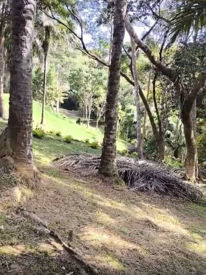 Terreno à Venda em Uruçuca - Bahia - Brasil - 4