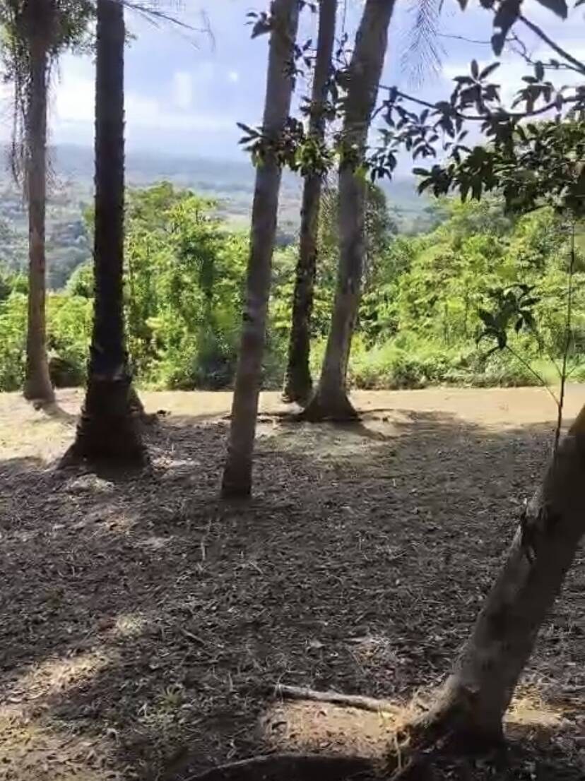 Terreno à Venda em Uruçuca - Bahia - Brasil - 5