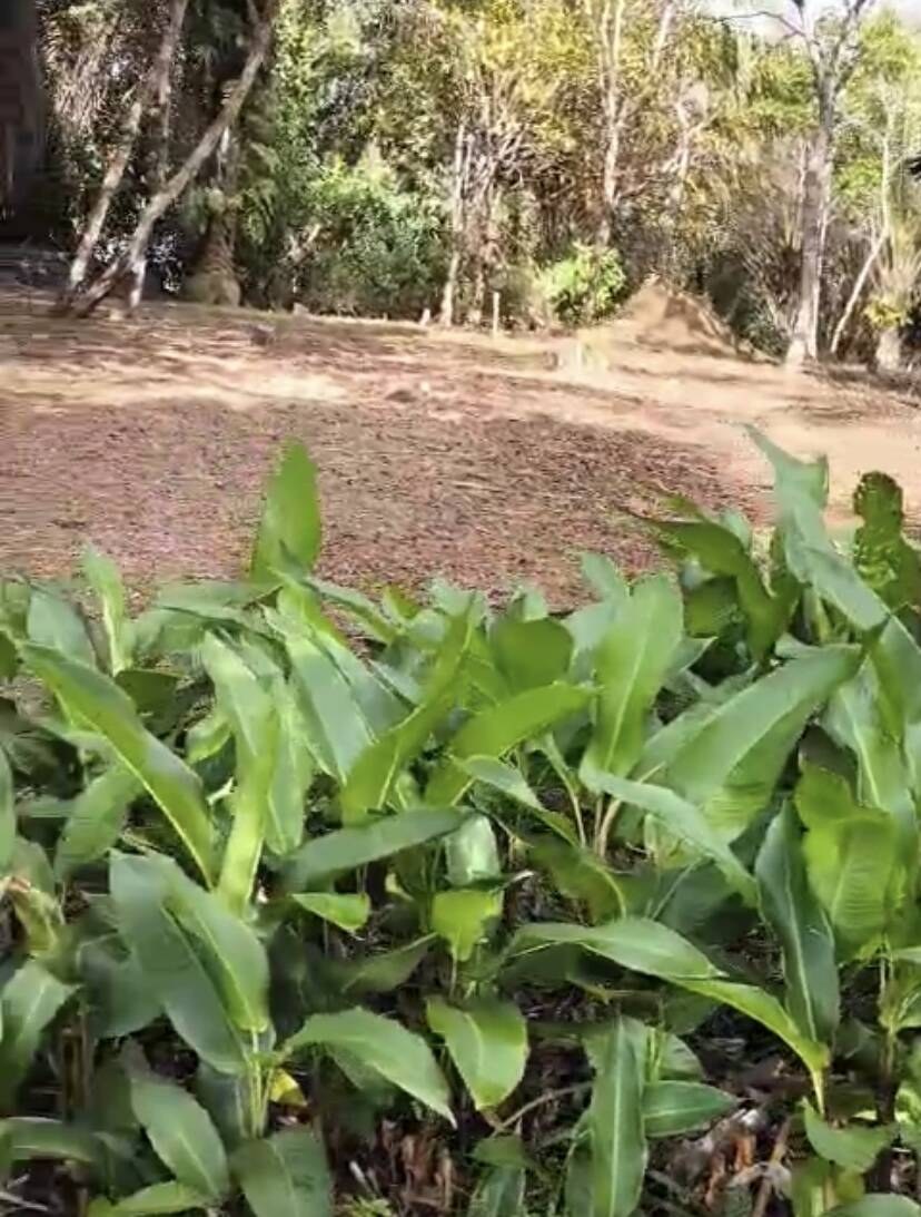 Terreno à Venda em Uruçuca - Bahia - Brasil - 6