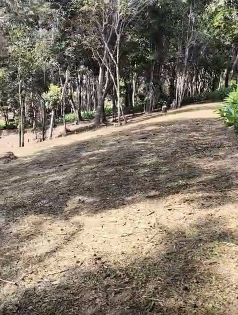 Terreno à Venda em Uruçuca - Bahia - Brasil - 7