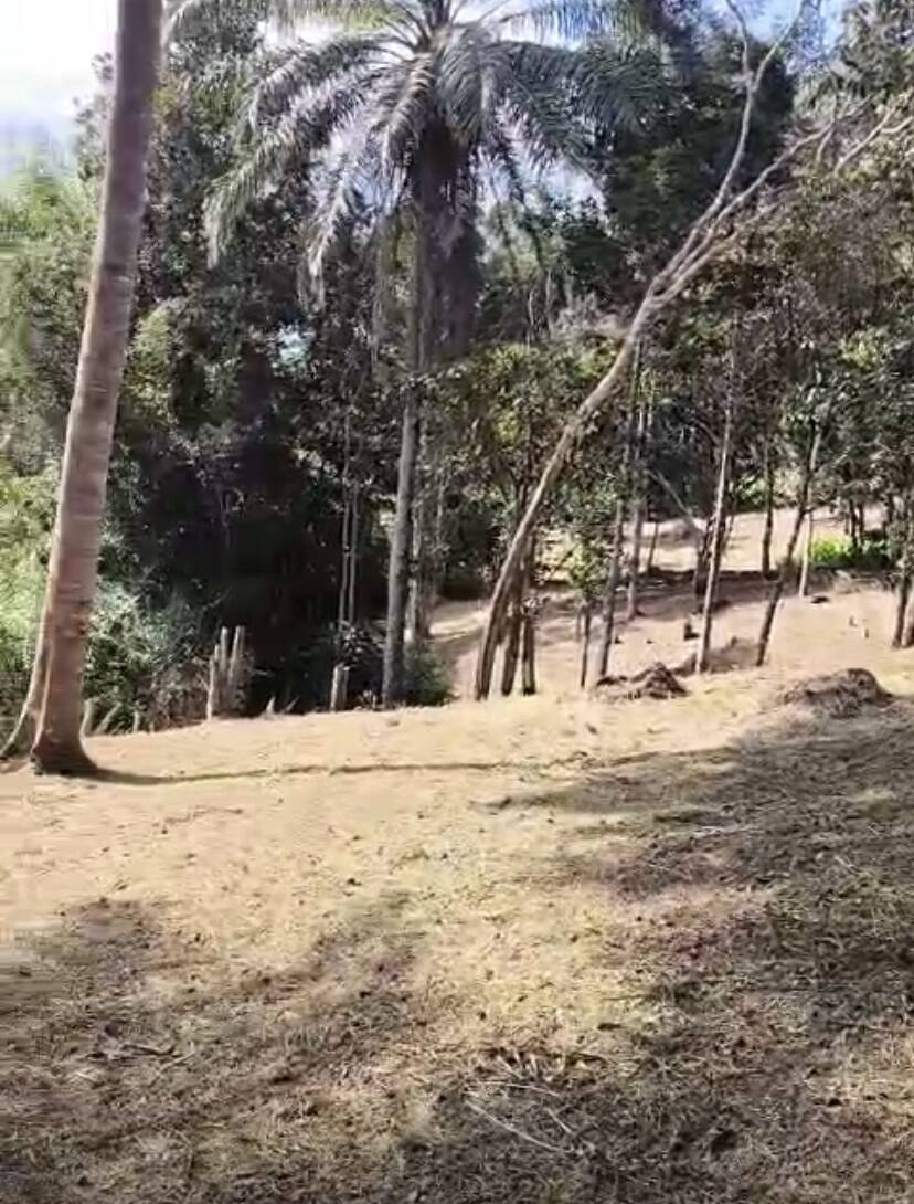 Terreno à Venda em Uruçuca - Bahia - Brasil - 8