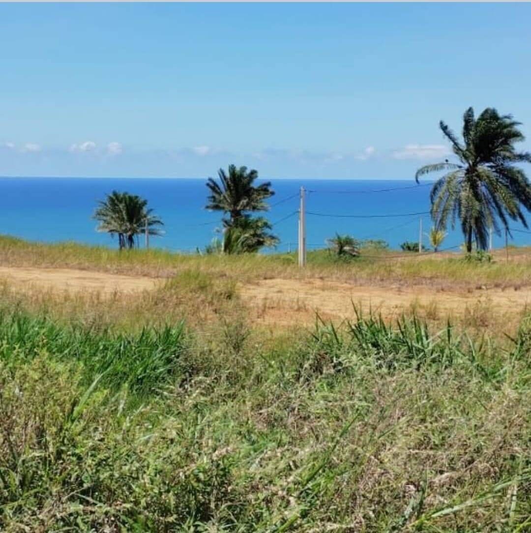 Terreno à Venda em Uruçuca - Bahia - Brasil - 7