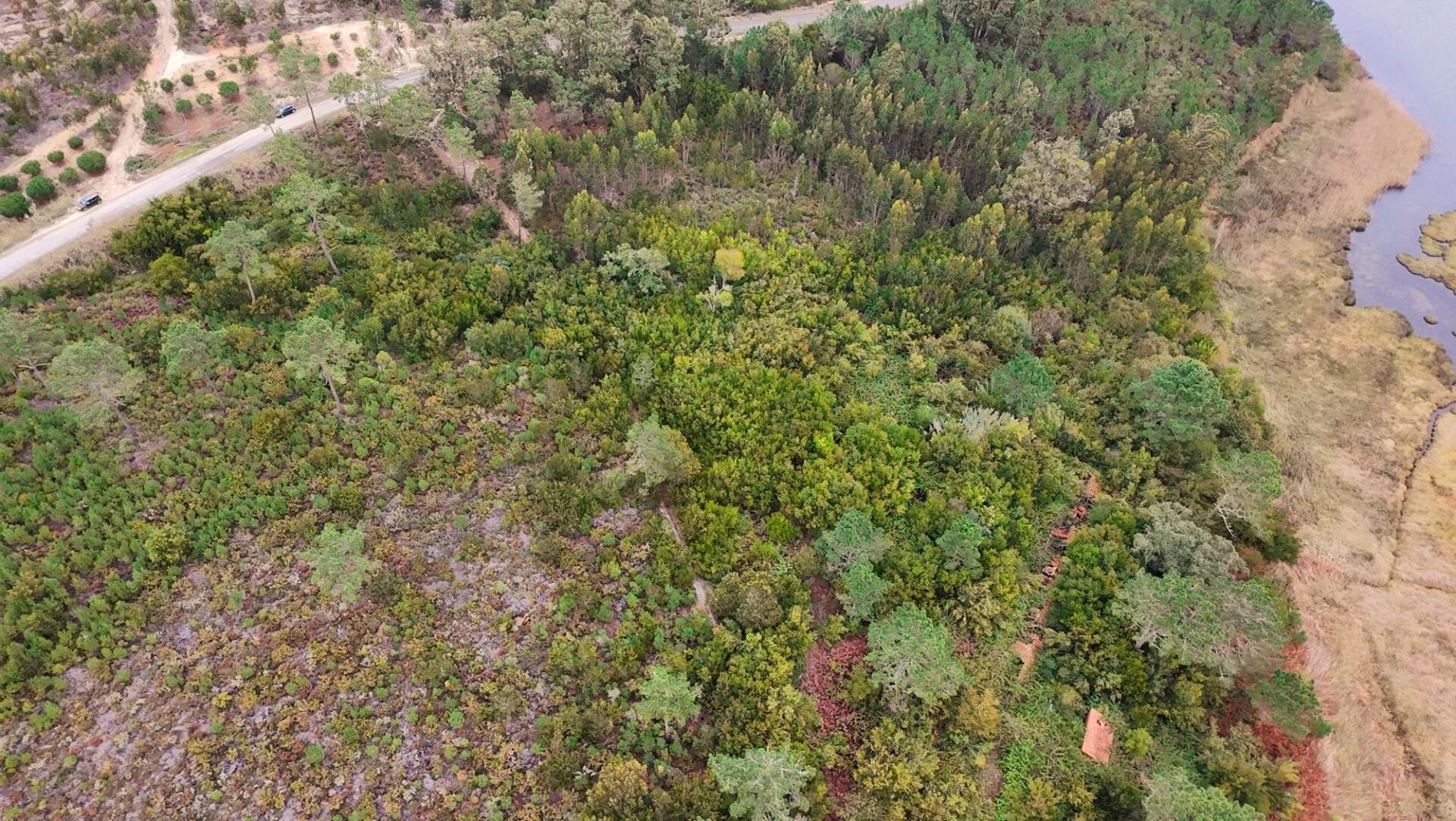 Land Plot for Sale in Vau - Leiria - Portugal - 7