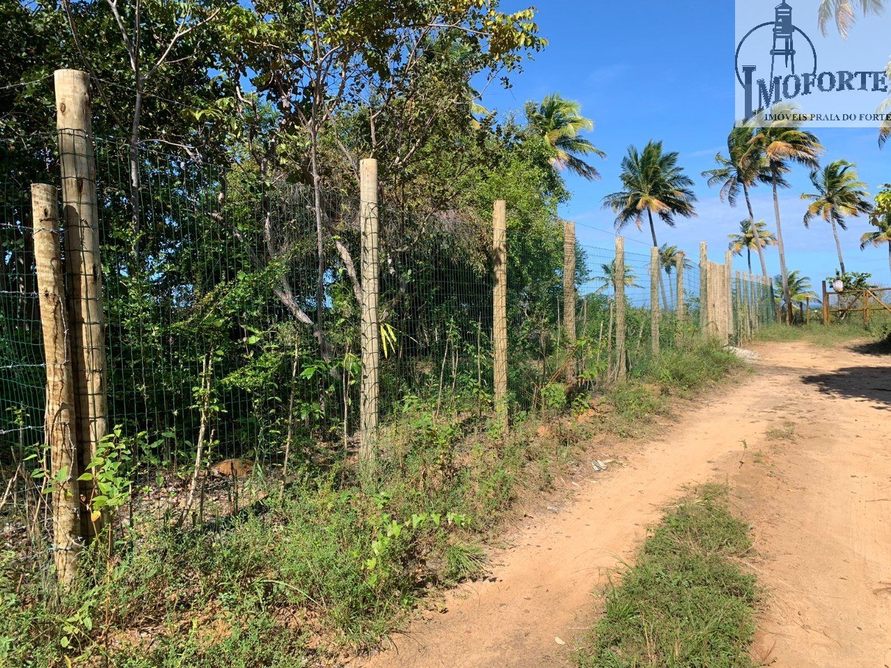 Terreno de 6.000 m² à Venda em Praia do Diogo – Mata de São João – Bahia – Brasil - 3