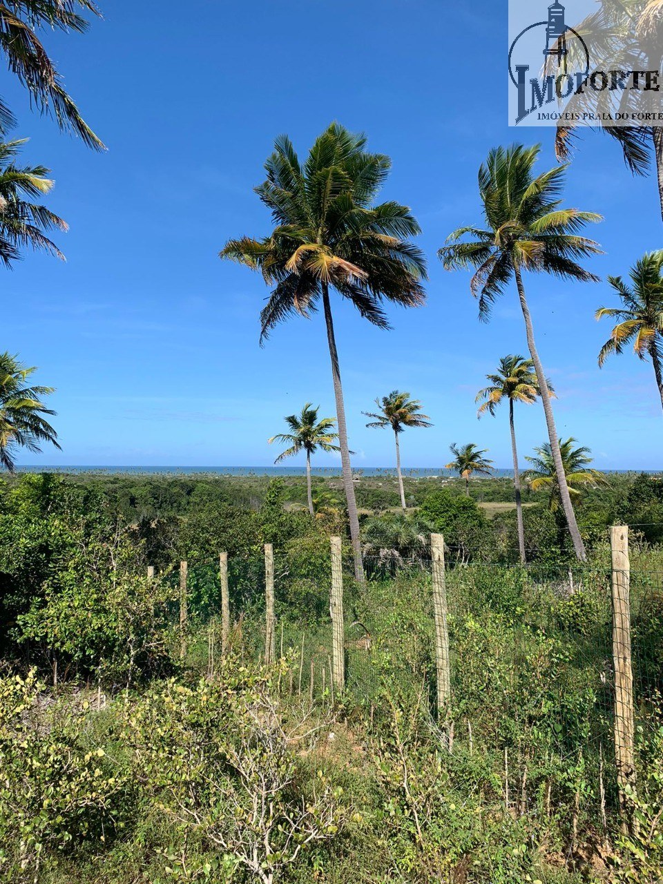 Terreno de 6.000 m² à Venda em Praia do Diogo – Mata de São João – Bahia – Brasil - 5