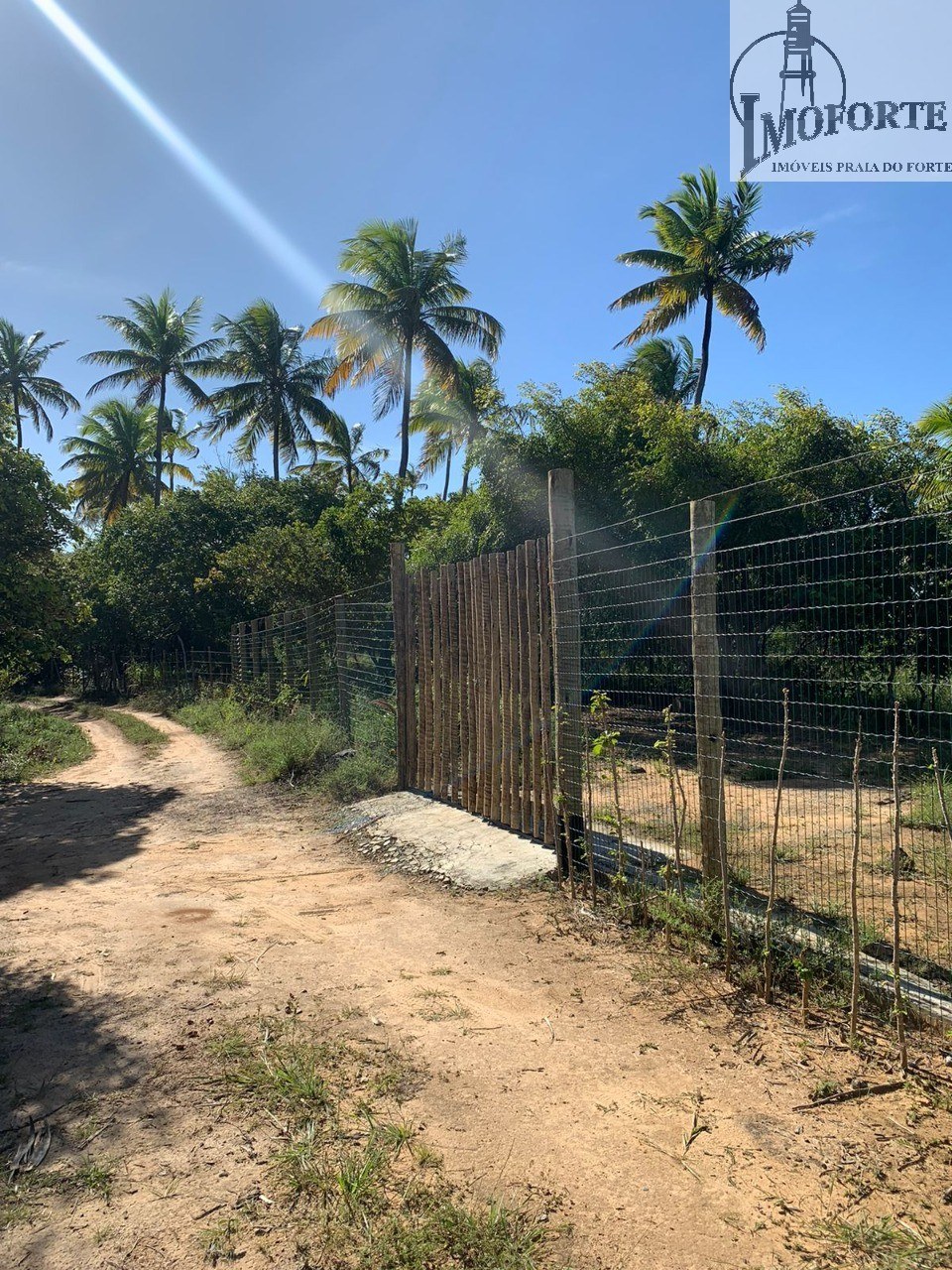 Terreno de 6.000 m² à Venda em Praia do Diogo – Mata de São João – Bahia – Brasil - 6