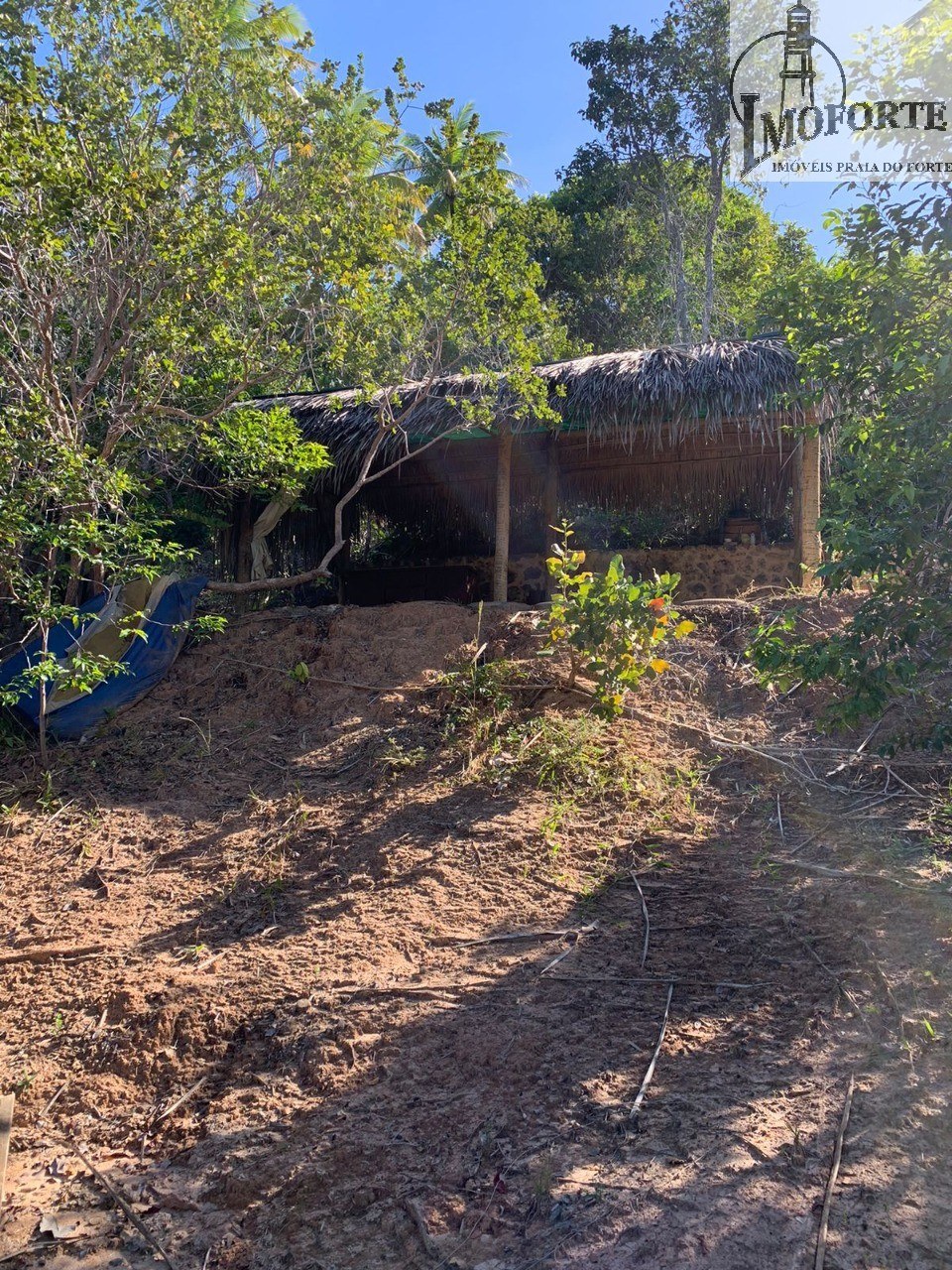 Terreno de 6.000 m² à Venda em Praia do Diogo – Mata de São João – Bahia – Brasil - 7