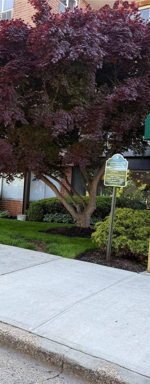 Apartamento de 1 Dormitorio en Venta en Hempstead - Nueva York - EE. UU.