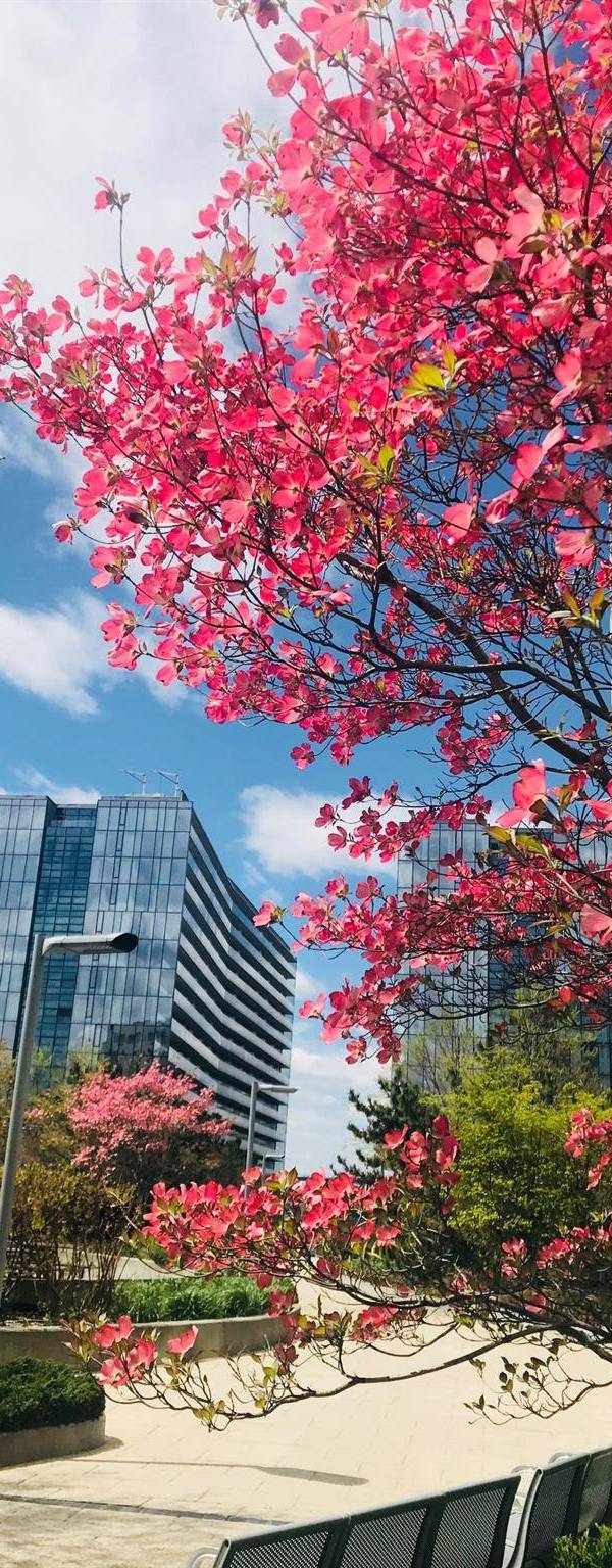 Apartamento com 3 Quartos à Venda em Flushing - Nova Iorque - EUA