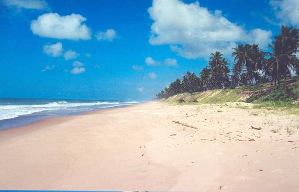 Área à Venda em Conde - Bahia - Brasil