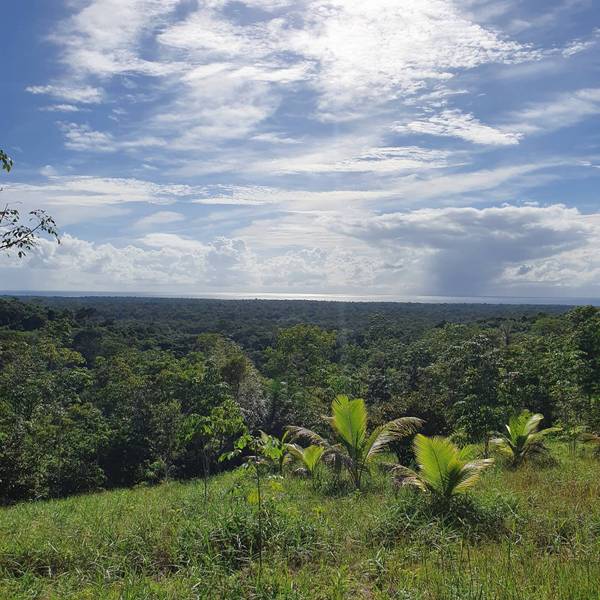 Área à Venda em Itacaré - Bahia - Brasil