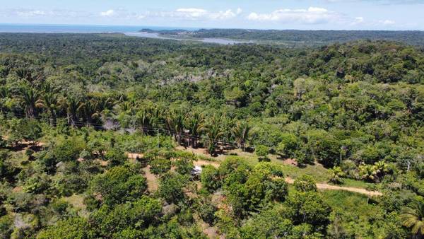 Área à Venda em Itacaré - Bahia - Brasil