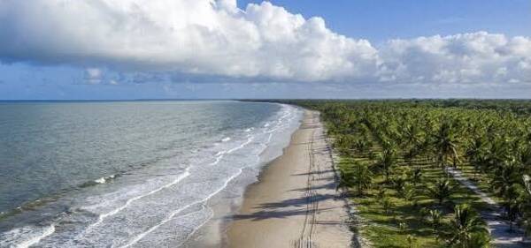 Área à Venda em Ituberá - Bahia - Brasil
