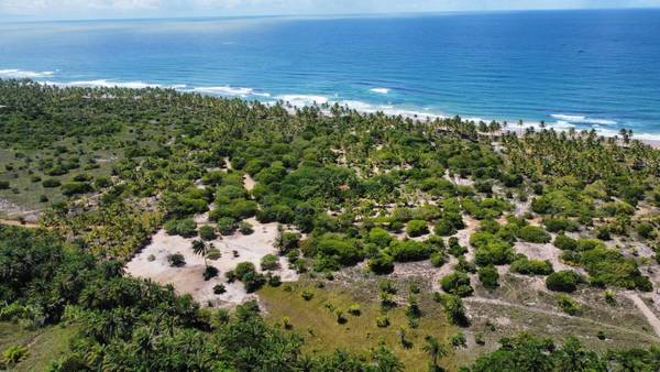 Área à Venda em Maraú - Bahia - Brasil