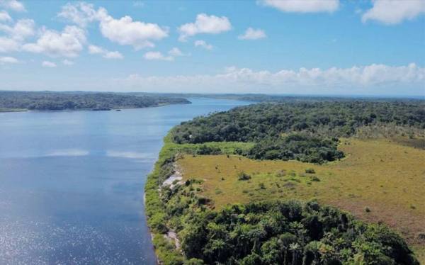 Área à Venda em Maraú - Bahia - Brasil