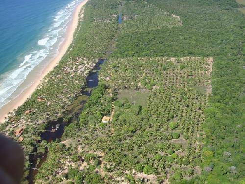 Área à Venda em Maraú - Bahia - Brasil