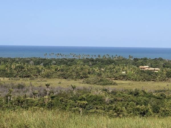 Área à Venda em Maraú - Bahia - Brasil