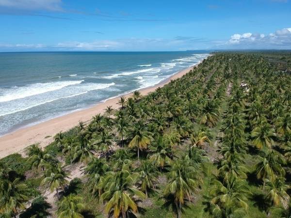 Área à Venda em Maraú - Bahia - Brasil