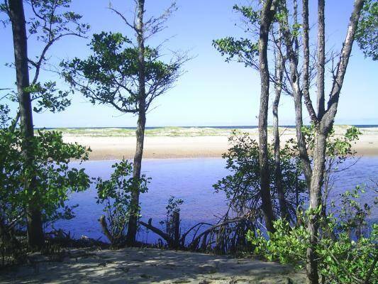 Área à Venda em Maraú - Bahia - Brasil