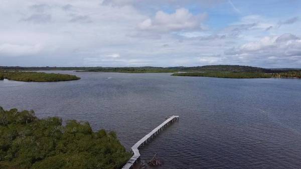 Área à Venda em Maraú - Bahia - Brasil