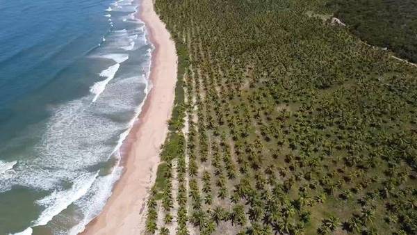 Área à Venda em Maraú - Bahia - Brasil