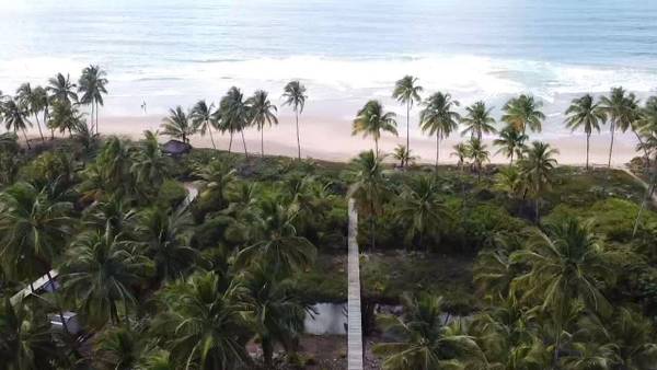 Área à Venda em Maraú - Bahia - Brasil