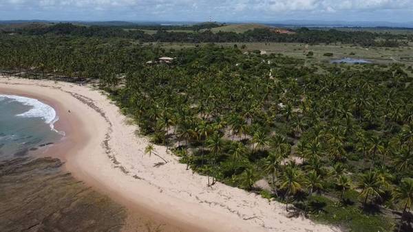 Área à Venda em Maraú - Bahia - Brasil