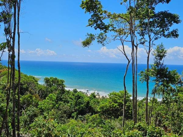 Área à Venda em Uruçuca - Bahia - Brasil