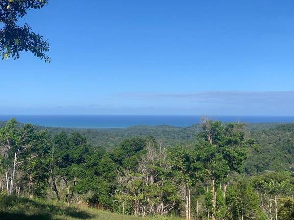 Área à Venda em Uruçuca - Bahia - Brasil