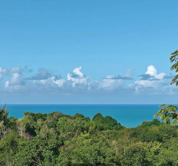 Área à Venda em Uruçuca - Bahia - Brasil