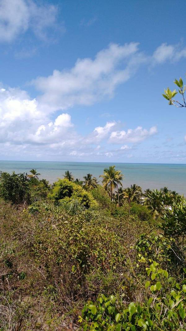 Chácara à Venda em Ilhéus - Bahia - Brasil