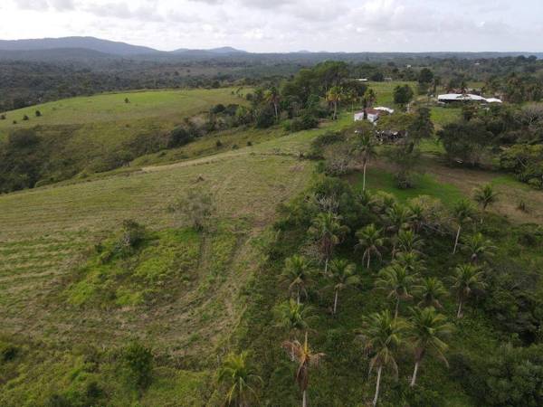 Fazenda à Venda em Uruçuca - Bahia - Brasil