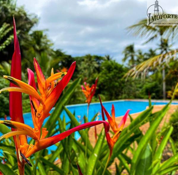 Lote em Condomínio de 450 m² à Venda em Açu da Torre – Mata de São João – BA