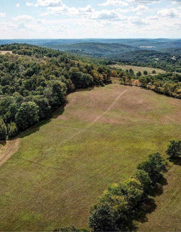 Propiedad en Venta en Callicoon - Nueva York - EE. UU.