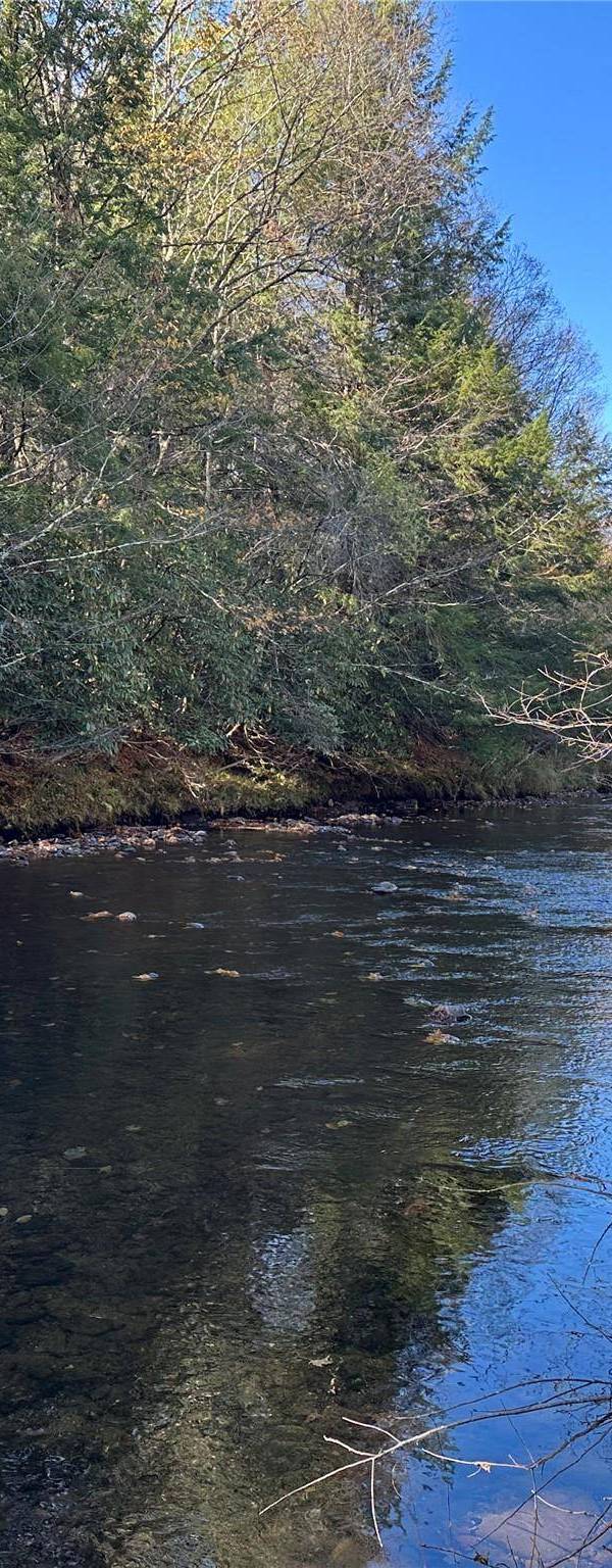 Propriedade à Venda em Livingston Manor - Nova Iorque - EUA