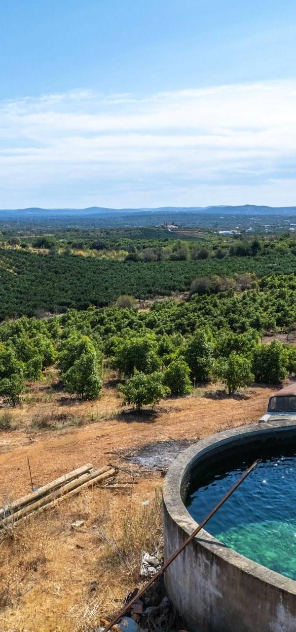 Propriété à Vendre à Silves - Faro - Portugal