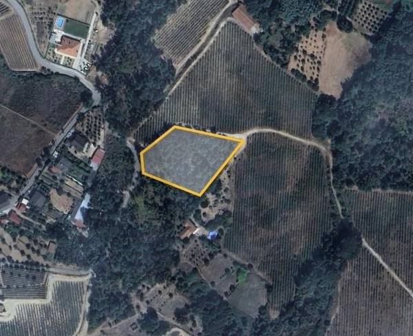 Propriété à Vendre à Viseu - Portugal