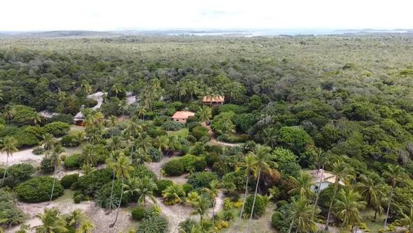 Sítio à Venda em Maraú - Bahia - Brasil