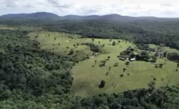 Sítio à Venda em Uruçuca - Bahia - Brasil